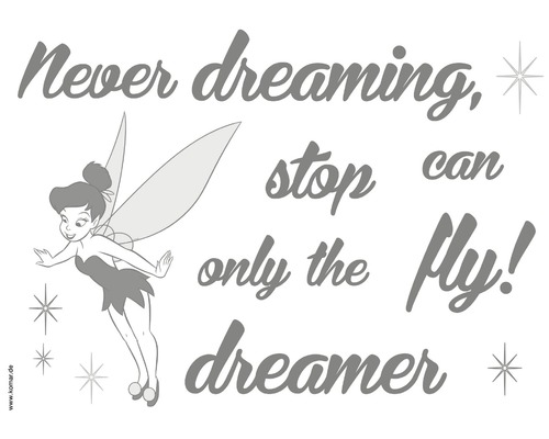 Wandtattoo Disney Edition 4 Never Stop dreaming 50 x 70 cm-0