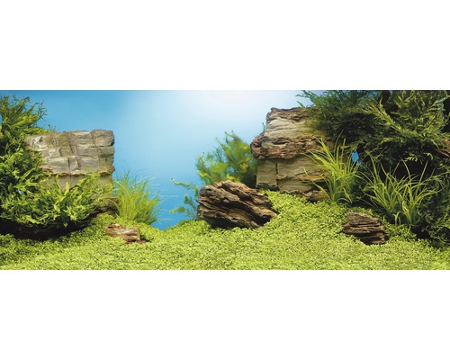 Rückwandposter JUWEL Pflanzen/Felsen 150x60 cm Rückwandposter JUWEL Pflanzen/Felsen 150x60 cm