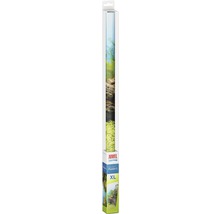 Rückwandposter JUWEL Pflanzen/Felsen 150x60 cm