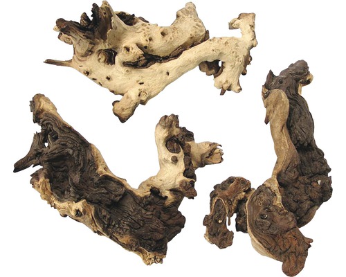 Drei Wurzelholzstücke für Aquarien