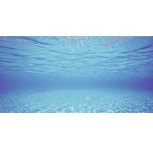 Unterwasseraufnahme mit Sandboden