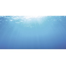 Juwel Rückwand Poster Wasser XL 150 x 60 cm