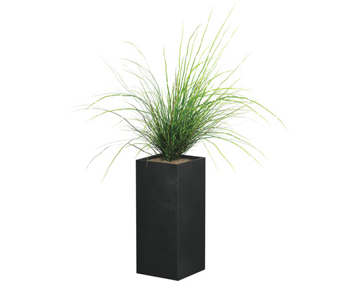 Ziergras in einem hohen, rechteckigen Pflanzgefäß