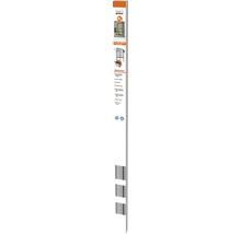 Insektenschutz home protect easyHOLD Rollo-Fenster Aluminium anthrazit 125x170 cm