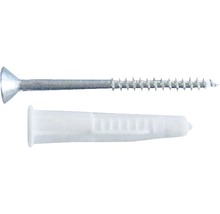 Schraube und Dübel
