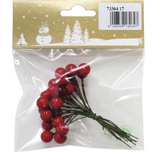 Packung mit roten Zierbeeren zur Dekoration