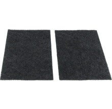 Kohlefilter Amica KF 17047 2 Stück
