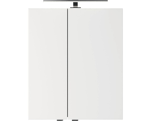Spiegelschrank Pelipal Xpressline 4035 60 x 14,5 x 70,3 cm grau 2-türig LED IP 44 Spiegelschrank mit Beleuchtung