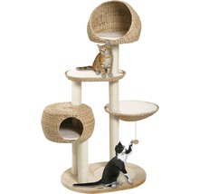 Katzenkratzbaum mit mehreren Ebenen und zwei Katzen