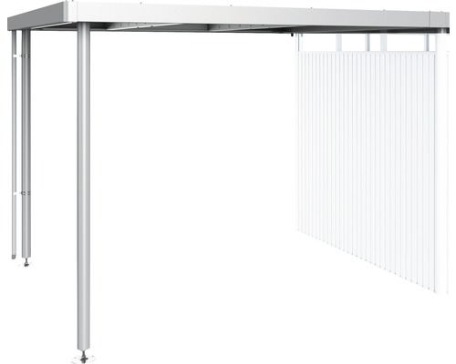 Seitendach Biohort zu HighLine H4 282 x 275 cm silber-metallic Überdachung mit Seitenwand zum Schutz vor Witterungseinflüssen