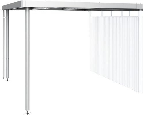 Seitendach Biohort zu HighLine H5 282 x 315 cm silber-metallic Freistehende Terrassenüberdachung aus Metall mit Seitenwand