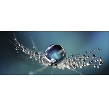 Glasbild Drop On Water 30x80 cm GLA1907