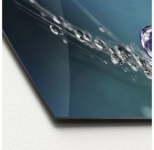 Glasbild mit Wassertropfen auf einer Pflanzenfaser