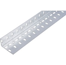 Conceptor Winkelprofil gelocht verzinkt 25x45x1 mm, 2m-thumb-0
