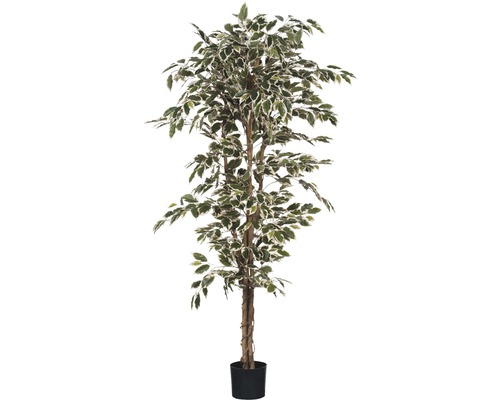 Kunstpflanze Birkenfeige Ficus Hawalli Ø 90 H 175 cm grün