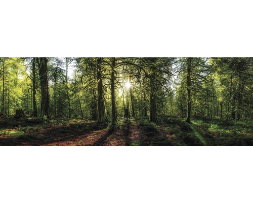 Decopanel Golden Forest 48x138 cm