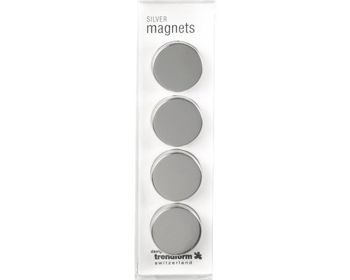 Vier silberne Magnete in Verpackung