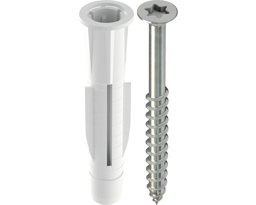 Kunststoffdübel und Schraube mit Torx-Antrieb