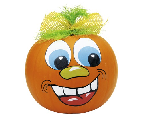 Bemalter Kürbis mit Gesicht und Haarschmuck für Halloween