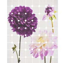 Fototapete Vlies 6006A-VD2 Flowers & Dots 2-tlg. 200 x 250 cm