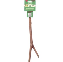 Naturholz Sitzstange für Vögel