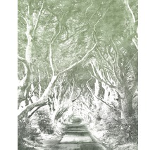 Fototapete Vlies 6024B-VD2 Alley Graphite 2-tlg. 200 x 250