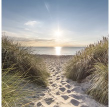 Ein Sandweg führt zum Meer, gesäumt von Gras