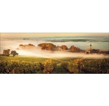 Weinberg mit Nebel und Kirche im Hintergrund