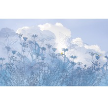 Illustration einer Wiese mit Pflanzen und Vögeln vor einem hellen Himmel