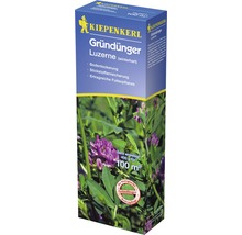 Kiepenkerl Gründünger Luzerne Packung