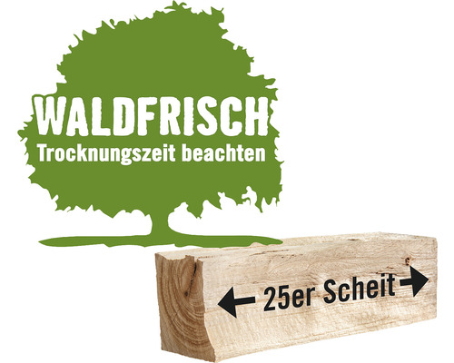 Kaminholz Brennholz HORNBACH FORST Buche, Eiche, Esche, Robinie lose 1 Schüttraummeter ca. 22-25 cm, waldfrisch