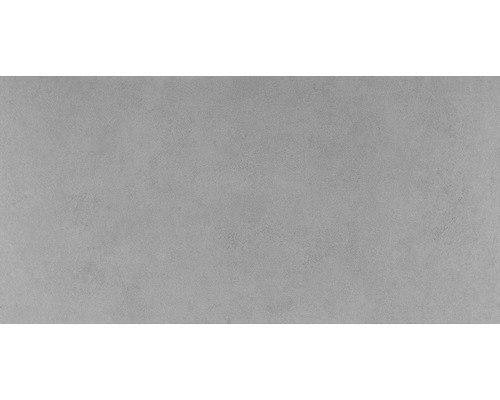 Feinsteinzeug Wand- und Bodenfliese Vega grigio 30,5x61,5 cm Feinsteinzeug Wand- und Bodenfliese Vega grigio 30,5x61,5 cm