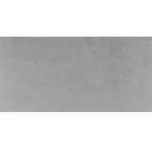 Feinsteinzeug Wand- und Bodenfliese Vega grigio 30,5x61,5 cm-thumb-3