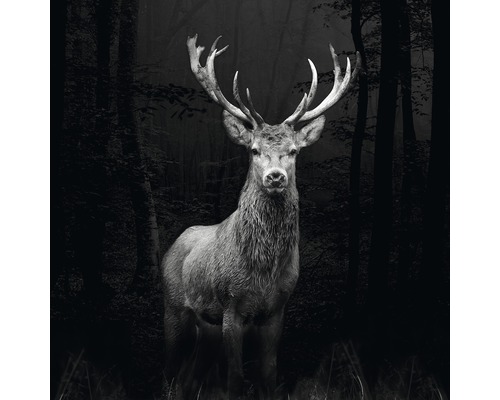 Glasbild Grey Deer Head 80x80 cm GLA2028