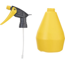 Sprühflasche mit Sprühkopf