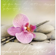 Dekoratives Stillleben mit rosa Orchideenblüte und Flusssteinen