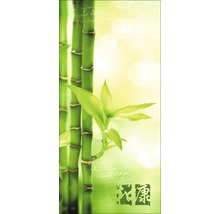Leinwandbild Ayurveda I 55x115 cm