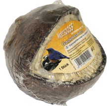 Ganze Kokosnuss als Vogelfutter
