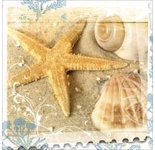 Dekoratives Stillleben mit Seestern, Sand und Muscheln