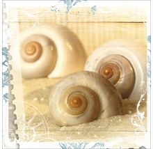Dekoratives Bild mit Muscheln auf Sand vor Holzgrund