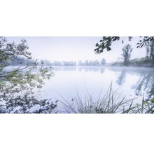 Morgendlicher See mit Bäumen und Nebel