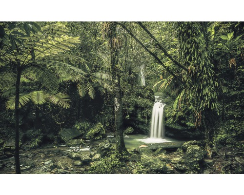 Fototapete Vlies SH008-VD4 Stefan Hefele Ed 1 Hidden Treasure 4-tlg. 400 x 250 cm Üppiger Wald mit Wasserfall und vielen Farnen
