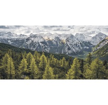 Landschaft mit Wald und schneebedeckten Bergen
