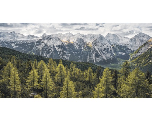 Fototapete Vlies SH009-VD1 Stefan Hefele Ed. 1 Wild Dolomites 1-tlg. 200 x 100 cm Landschaft mit Wald und schneebedeckten Bergen
