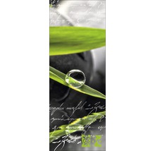 Glasbild Ayurveda II 30x80 cm GLA363