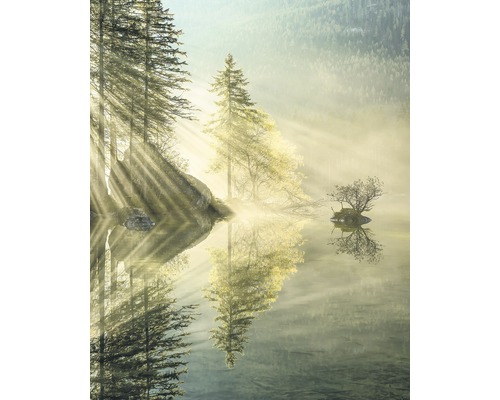 Fototapete Vlies SH018-VD2 Stefan Hefele Ed. 1 Indulge of Beauty 2-tlg. 200 x 250 cm Landschaft mit Bäumen und einem See im Morgenlicht