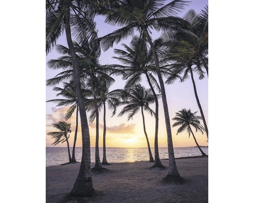 Fototapete Vlies SH022-VD2 Stefan Hefele Ed. 1 Palmtrees 2-tlg. 200 x 250 cm Palmen am Strand bei Sonnenuntergang