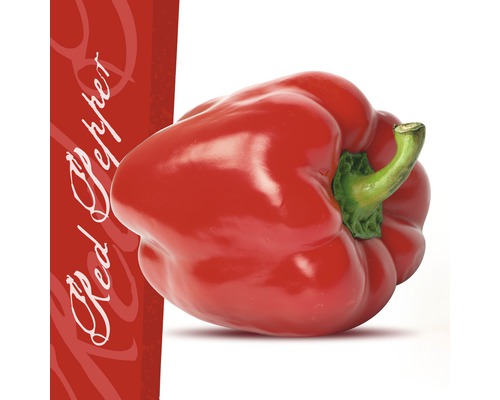 Glasbild Red Pepper 30x30 cm GLA432