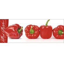 Vier rote Paprika