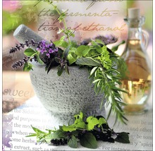 Mörser mit frischen Kräutern und Flasche Öl